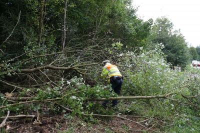 Pkw ueberschlaegt sich und fliegt in Wald bei Schoenaich 